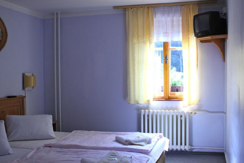 Penzion Nikola Pec pod Sněžkou Pokoj fotografie